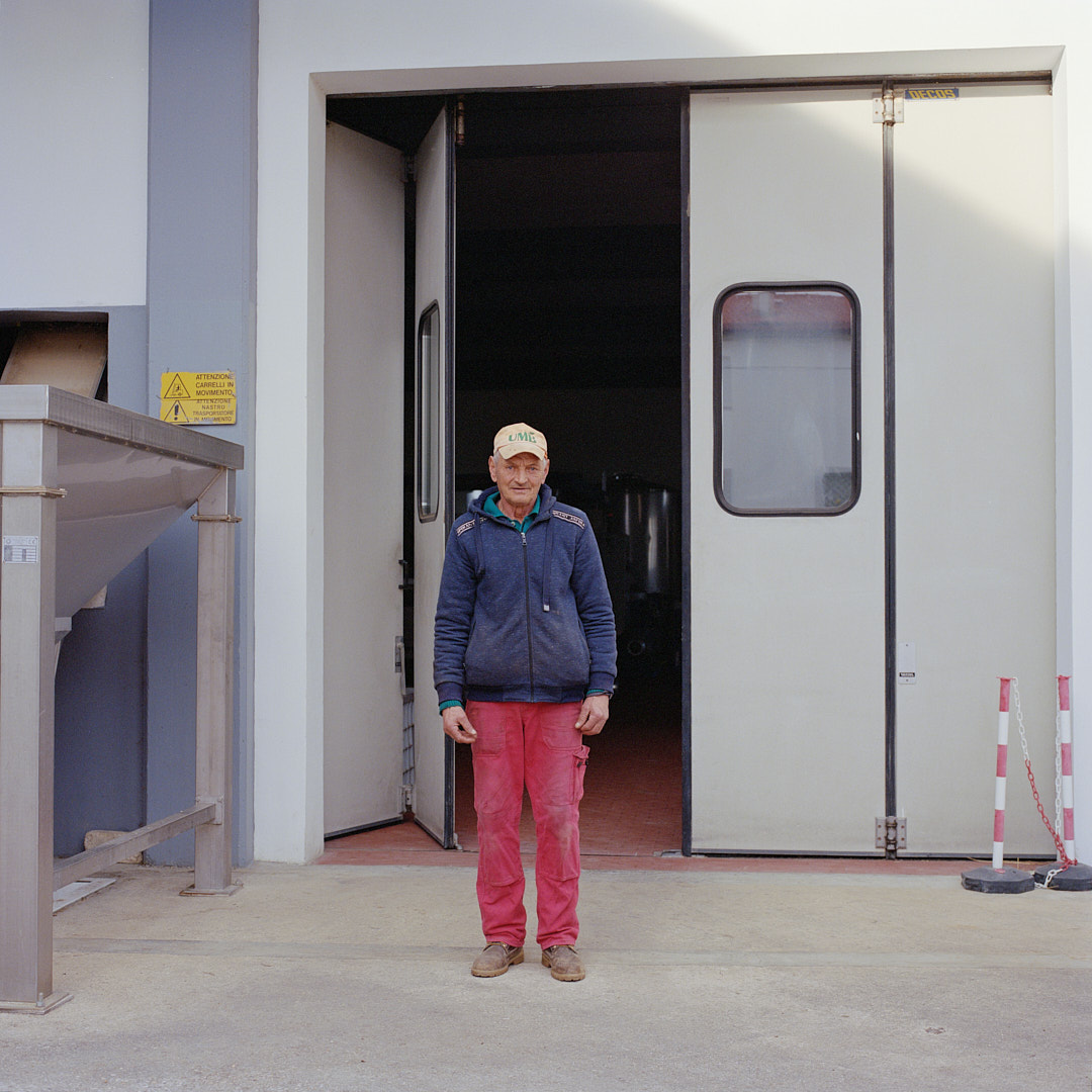 italy 2024 olive factory worker 2