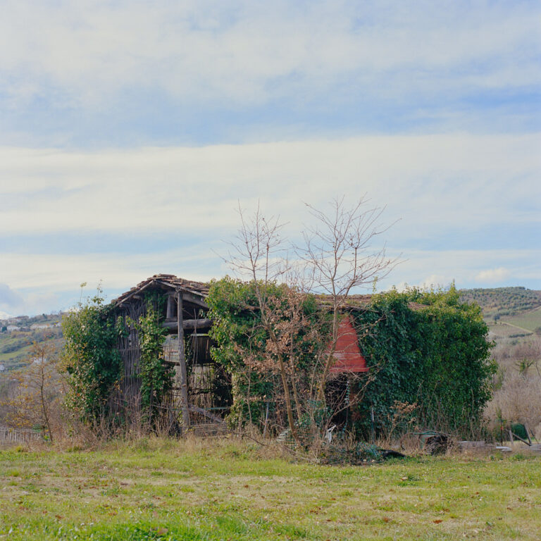 italy 2024 shed