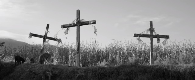 A wooden cross in an open field, surrounded by vegetation. The scene is calm, and the cross appears to be a memorial or a religious symbol.