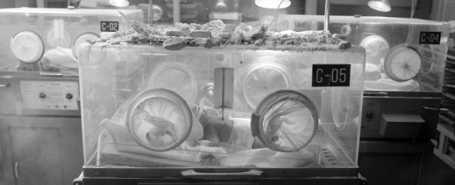 An incubator with newborns visible through the glass. The scene feels clinical, with an atmosphere of care and protection.