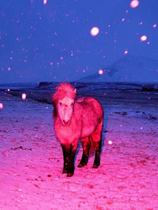 Sasha Elage and the question of the reference, in The Cold Magazine — image 2
