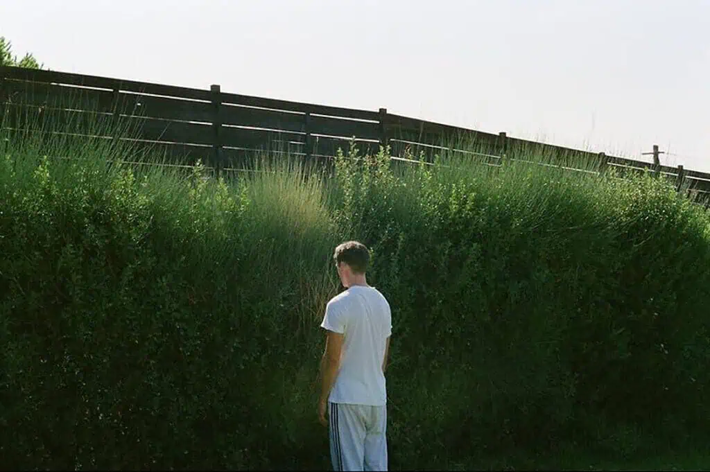 A boy in white pajamas stands facing a tall fence and overgrown hedges, symbolizing the physical and mental confinement central to Dogtooth (2009)