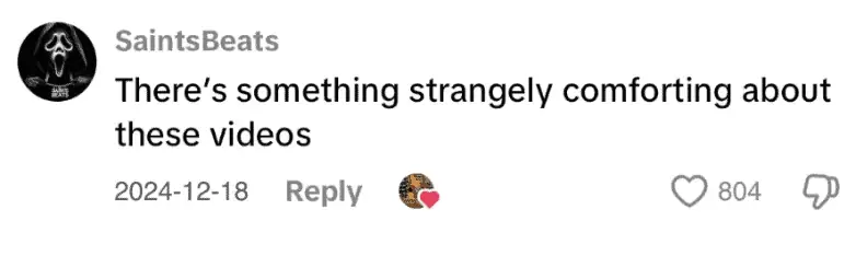 Comment by user SaintsBeats saying 'There’s something strangely comforting about these videos' with a heart reaction count of 804