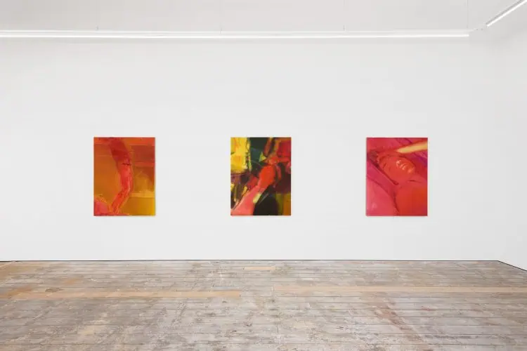 Three warm-hued abstract paintings from Nana Wolke’s “Nothing Left to Want” series installed in a row on a gallery wall, creating a cohesive visual sequence.