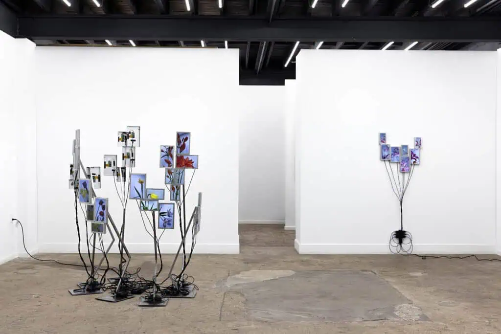 Gallery view of Julieta Tarraubella’s multiscreen flower installation at Paris Photo 2025.