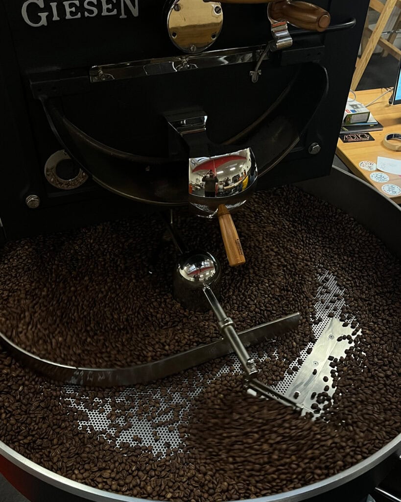 A coffee roasting machine with “Giesen” written on it, filled with freshly roasted Aliena coffee beans being stirred by a metal arm inside a circular cooling tray. Wooden accents and coffee shop items are visible in the background.