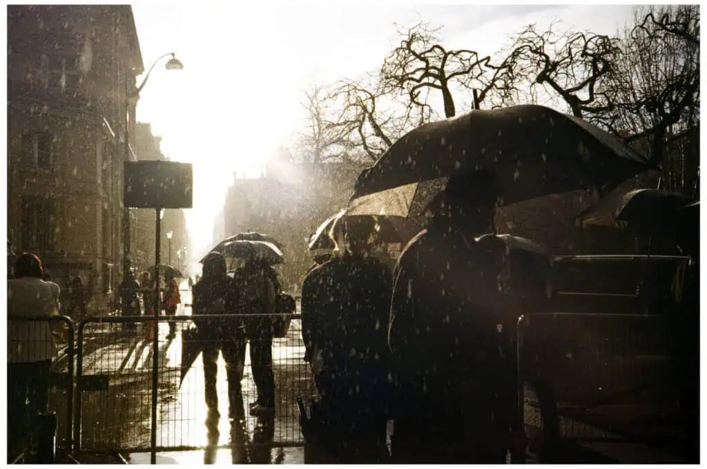People with umbrellas stand in the rain on a city street, silhouetted against the bright sunlight. Leafless trees and tall buildings line the background, and raindrops glisten in the air.