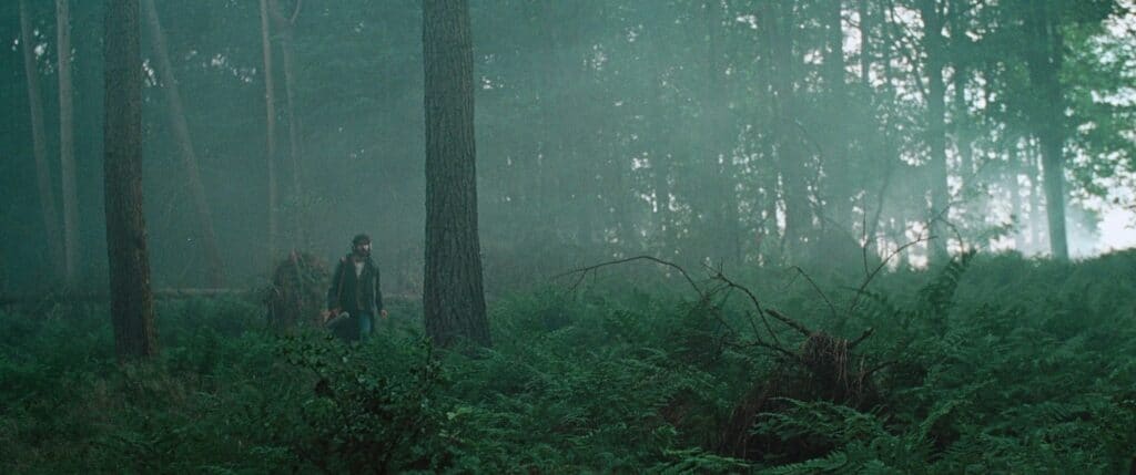 A person walks alone through a misty, dense forest filled with tall trees and thick ferns, with soft sunlight filtering through the foliage.