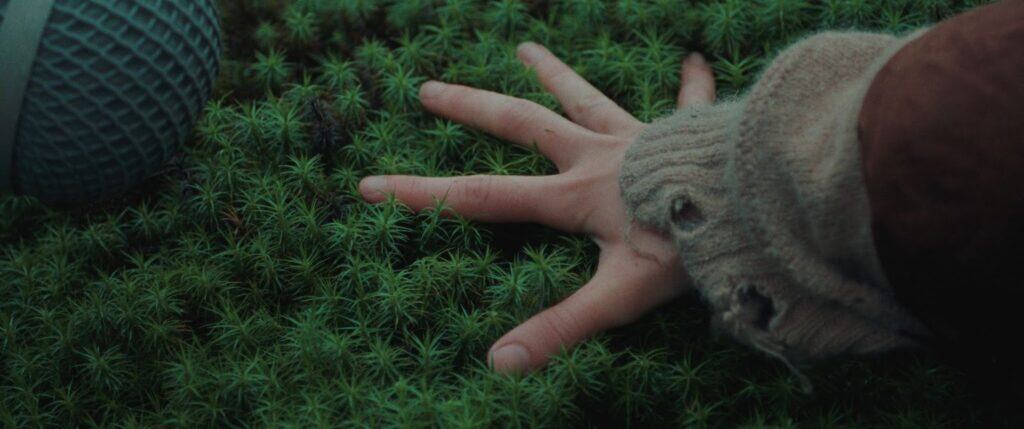 A hand with a worn, holey sweater sleeve touches green moss, while a round, textured object sits nearby on the left side of the frame.