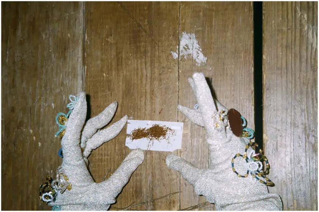 A pair of hands wearing sparkly, embellished gloves holds a small white paper with loose brown tobacco on it over a rustic wooden surface.