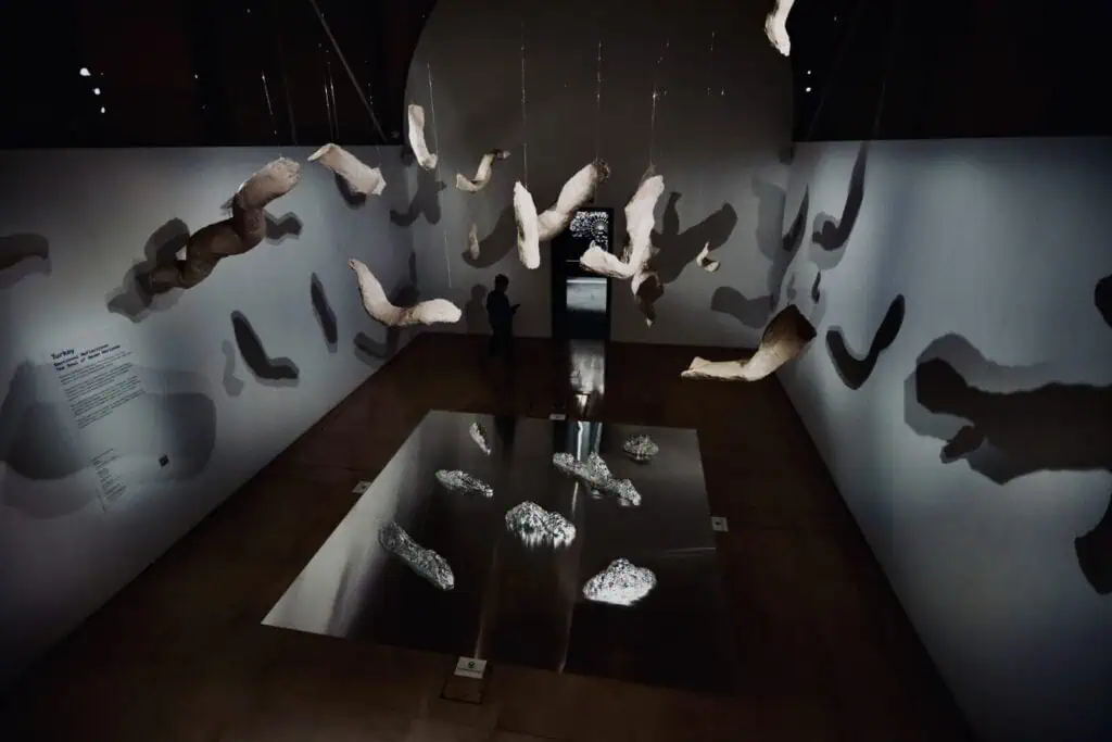 An immersive art installation by Halise Karakaya featuring suspended organic shapes and reflective floor elements in a gallery setting.