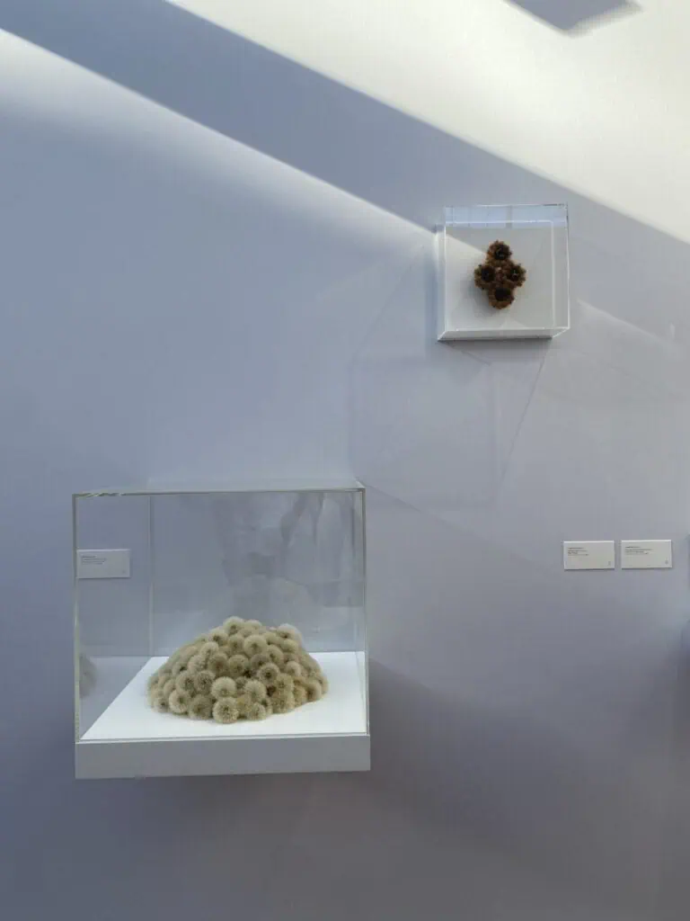 Art Paris 2026, top picks by The Cold Magazine — artwork 4
