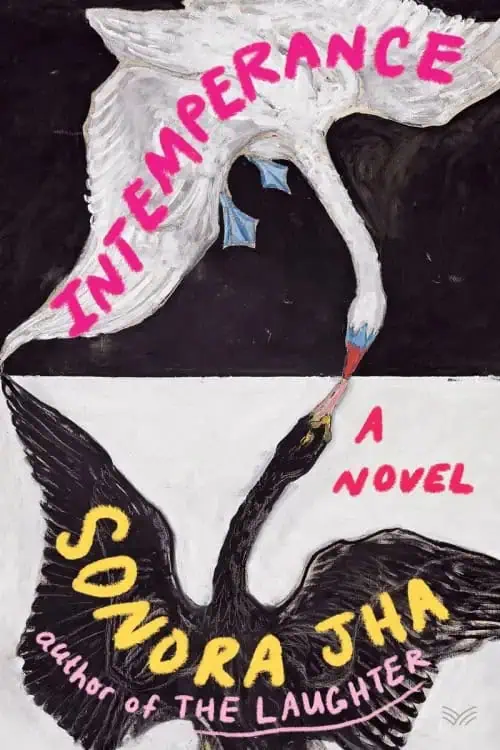The Coming-of-Middle-Age Novel (5 of 5)