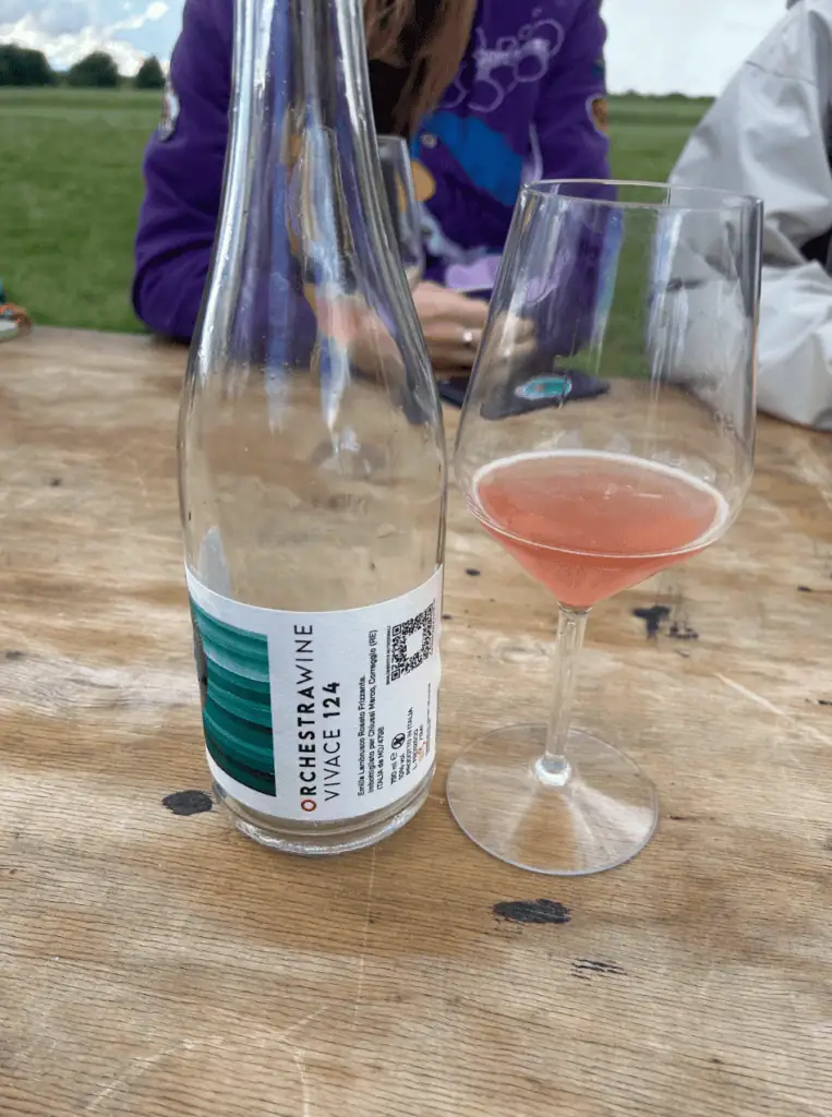 At Flash Festival, Electronic Music Meets Pasta, Wine and Sunrise Dancing (3 of 7)