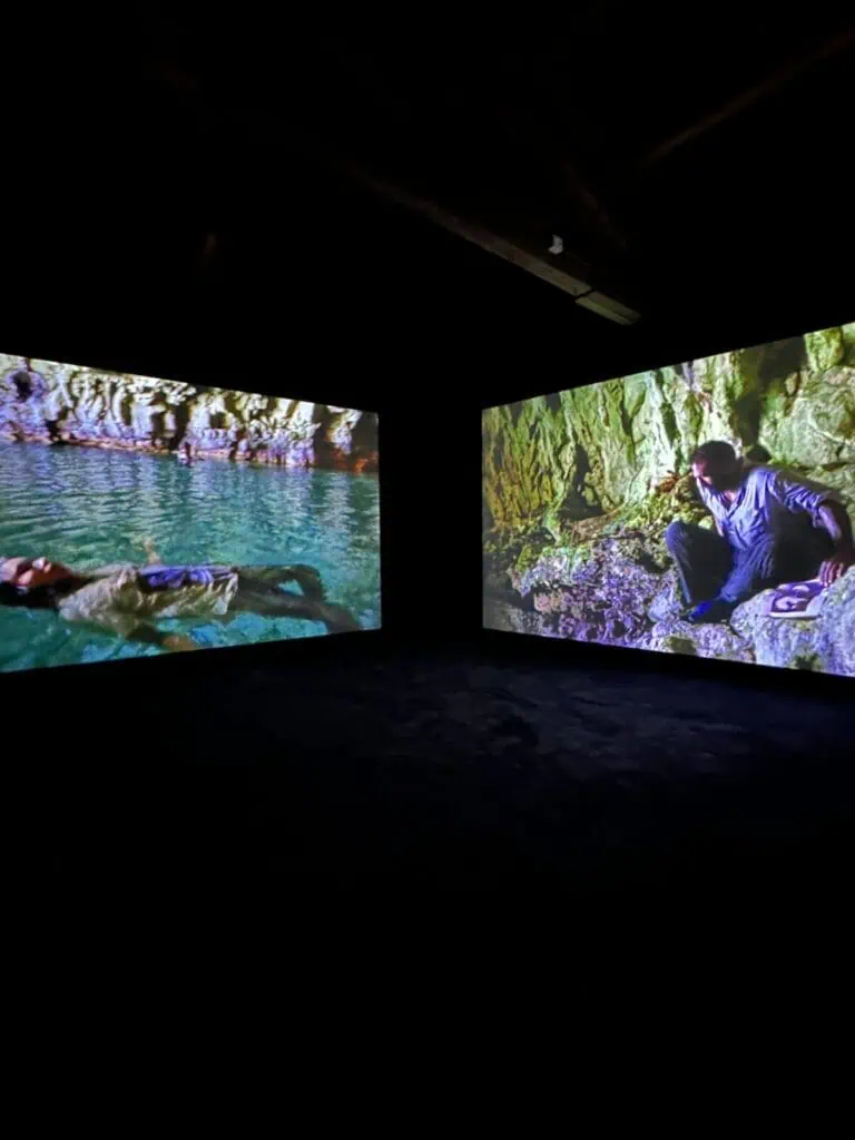 The 61st Venice Biennale, in The Cold Magazine — artwork 1