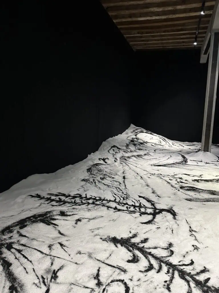 The 61st Venice Biennale, in The Cold Magazine — artwork 4