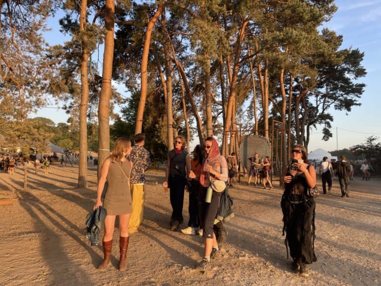 Dust, dance and disgust at Houghton Festival