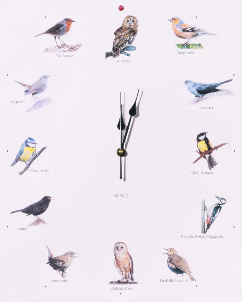 Wunderkammer: No Country for Kestrels editorial for The Cold Magazine — look 2