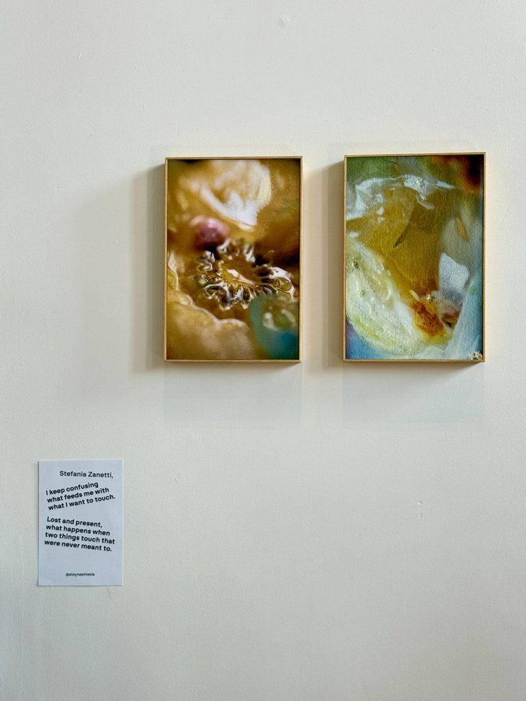 Artwork by Stefania Zanetti. Photo by Giuseppe Burdo