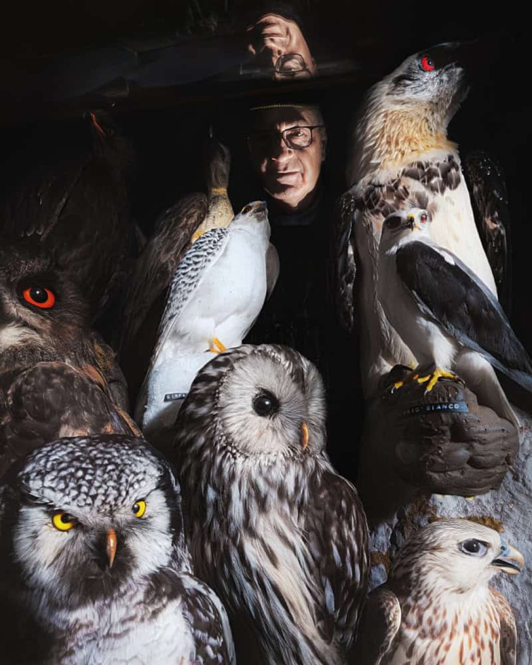 Wunderkammer2